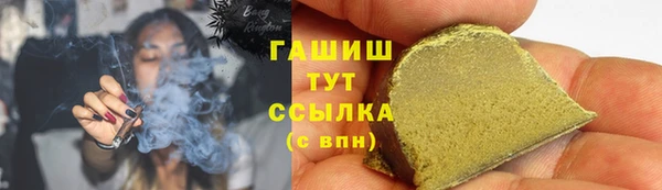 прущие грибы Вязники