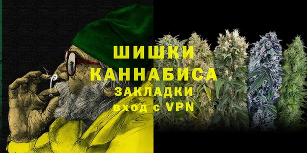 МДПВ Волоколамск
