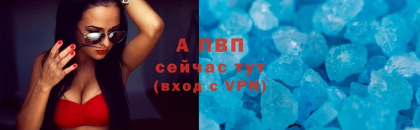 МДПВ Волоколамск