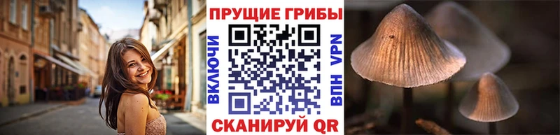Галлюциногенные грибы Cubensis  Альметьевск 